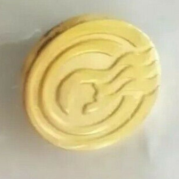 Princess Cruises Captain's Circle Gold tone lapel Pin Back NEW gold tone Ship - Picture 1 of 3